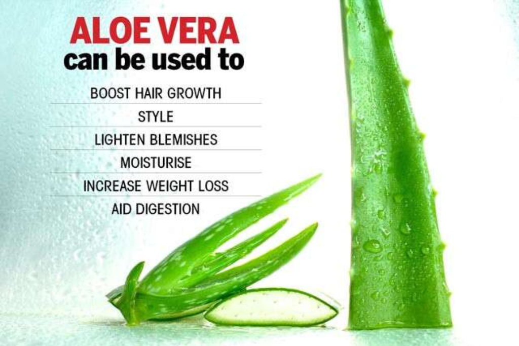 Treat Winter Imperfections with Aloe Vera Treat Winter Imperfections with Aloe Vera